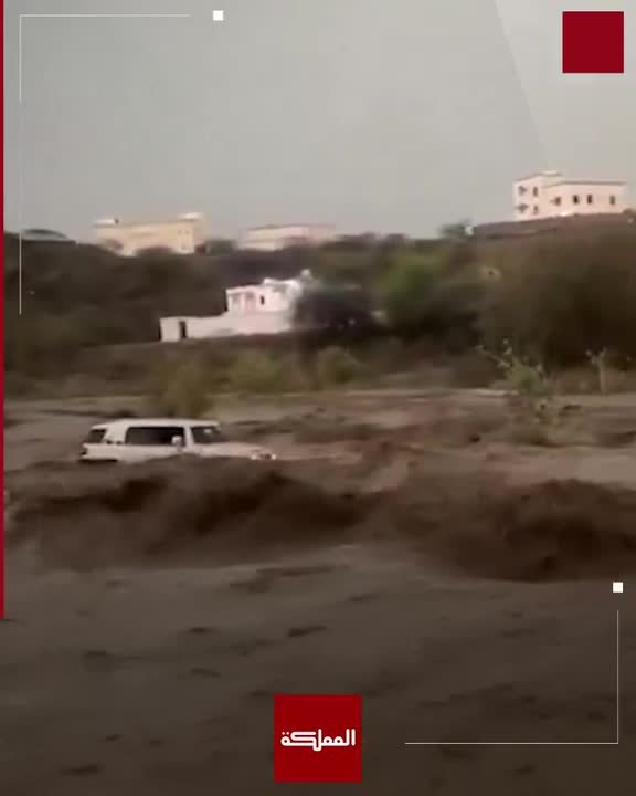 سائق يتحدى السيول 