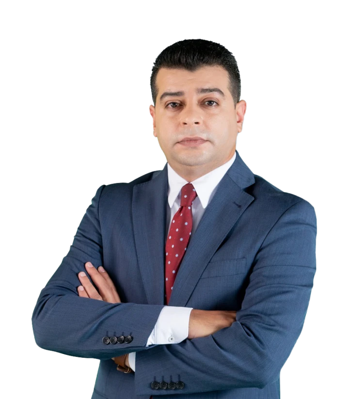 His Excellency Mr. Ayman Hussein Abdullah Al-Safadi