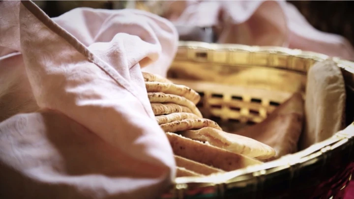 article pubish test version