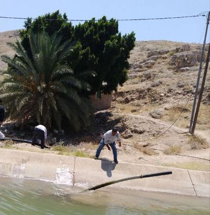 حملة لإزالة البرابيش من قناة الملك عبد الله