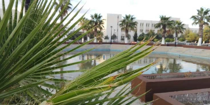 مؤتمر يوصي بتعميق الخطاب الديني الوسطي