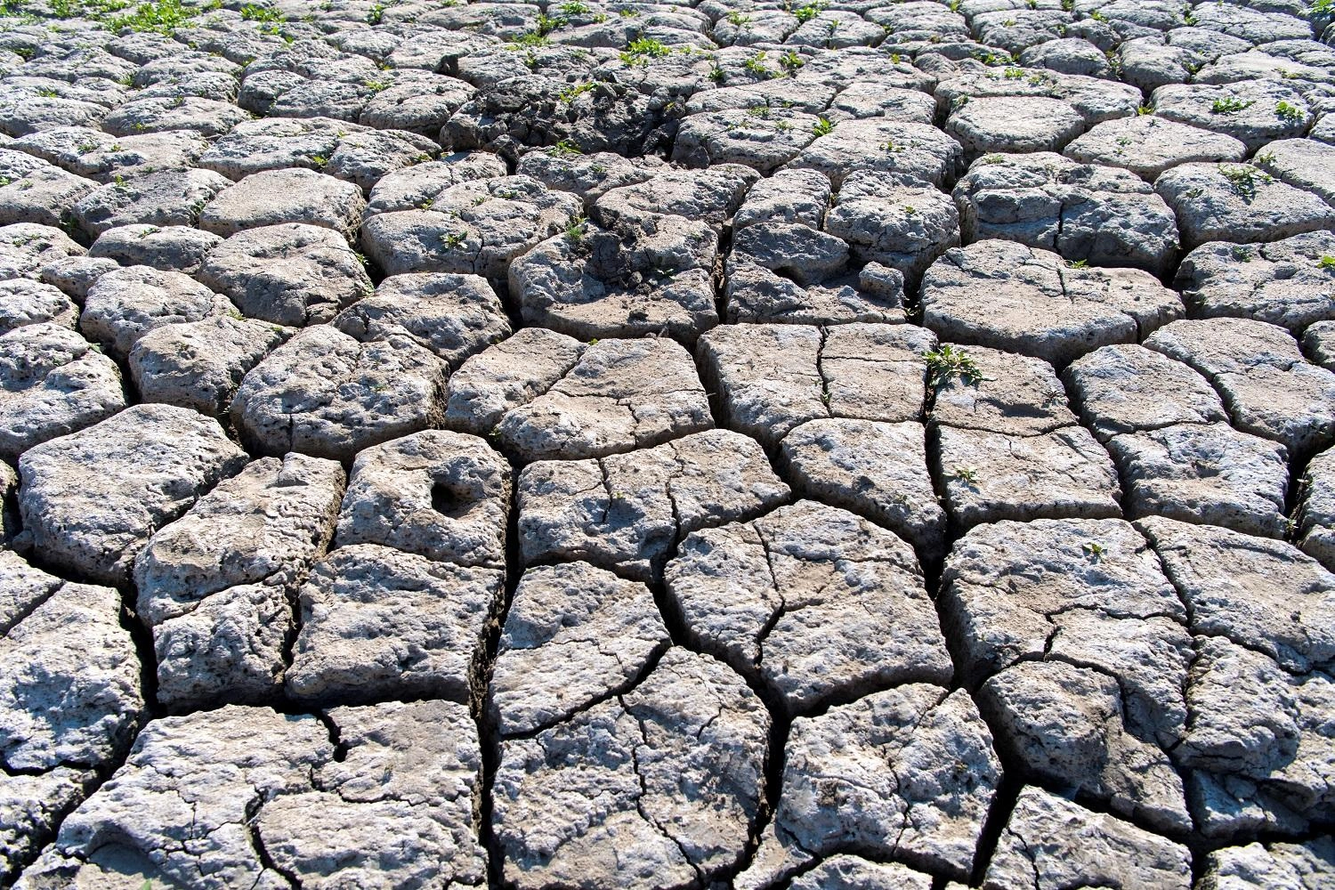  درجات الحرارة تتجه لمستويات قياسية قد تتخطى 48 درجة