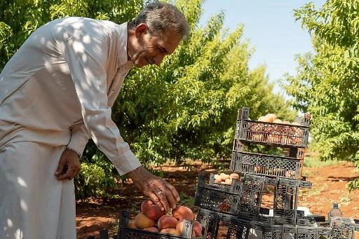 اعتماد على مساعدات روسية لمواجهة انعدام الغذاء