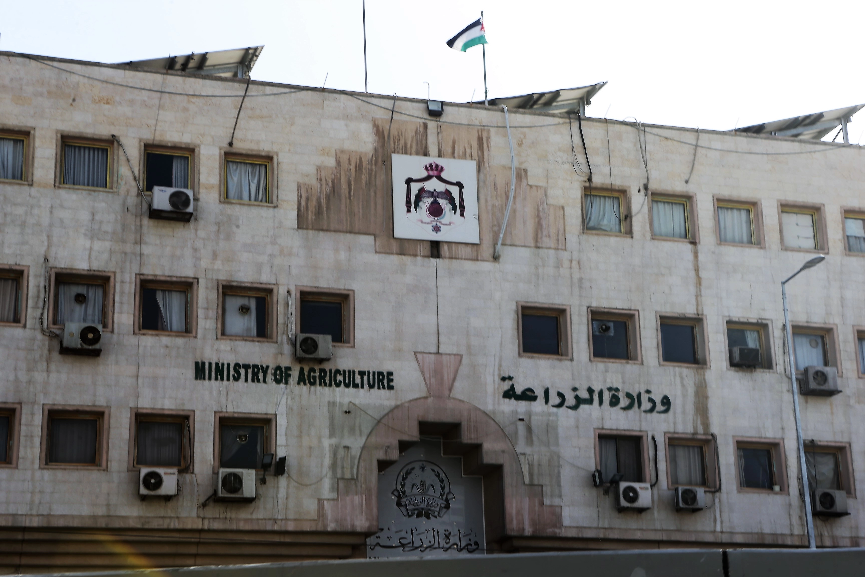 وقف إصدار رخص استيراد الأغنام الحية