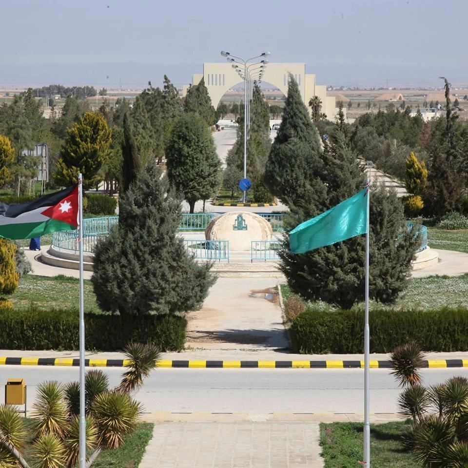 عجز الجامعات الحكومية بلغ نحو 137 مليون دينار في 2016