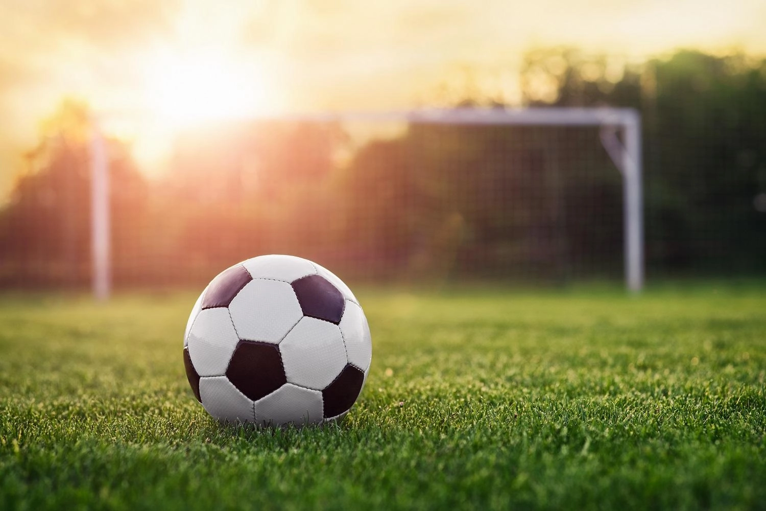 المنتخب الوطني يختار 29 لاعبا لنهائيات آسيا 2019