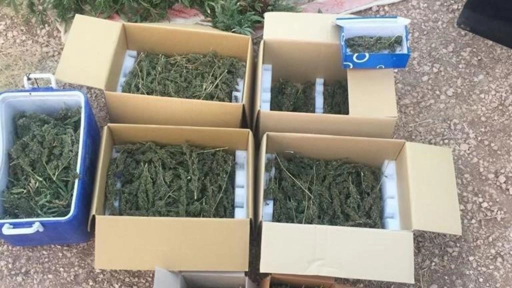 ارتفاع "كبير" في قضايا المخدرات في الأردن خلال 5 سنوات 