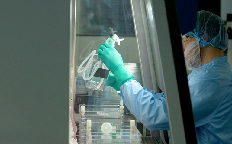 تطوير دجاج معدَّل لمحاولة منع ظهور إنفلونزا