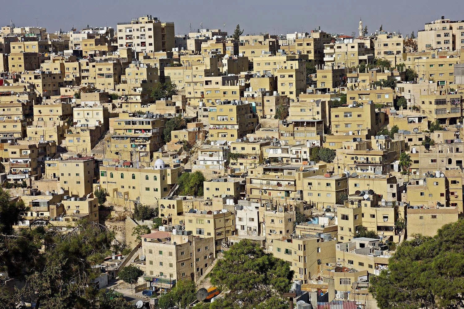 التداول العقاري ينخفض 24% في يناير