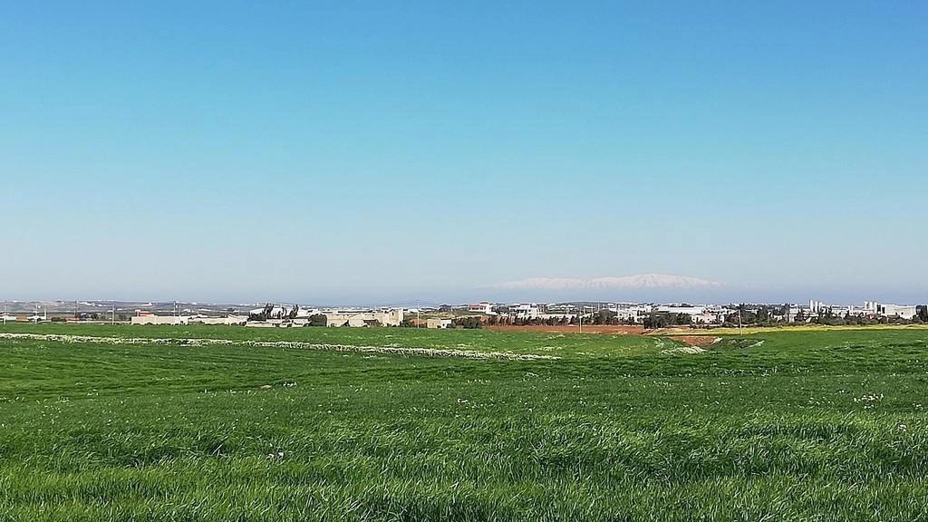 طقس ربيعي دافئ حتى الخميس