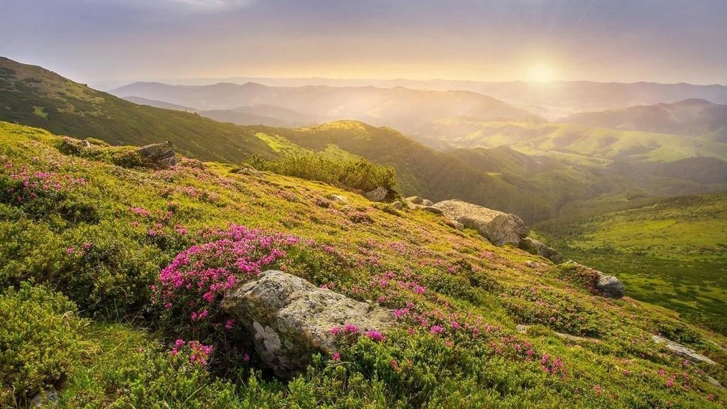 أجواء ربيعية الخميس والجمعة
