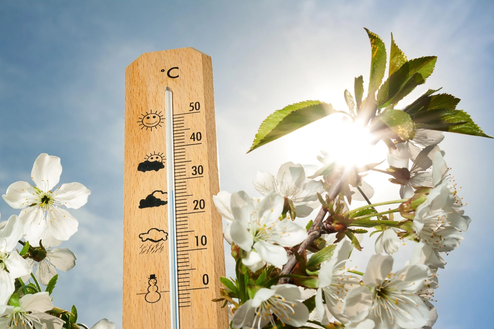 أجواء ربيعية دافئة الأحد
