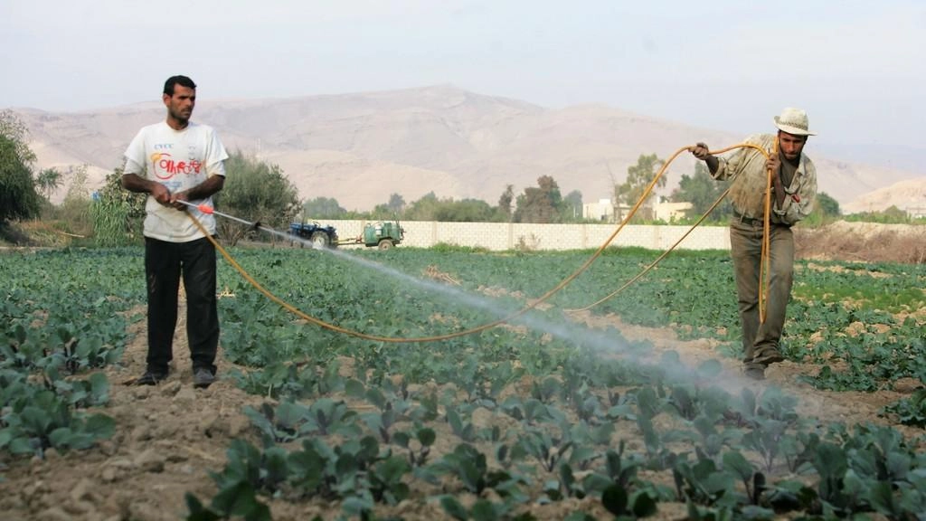 الأردن ولبنان يبحثان إعادة زيادة حجم تبادل سلع زراعية