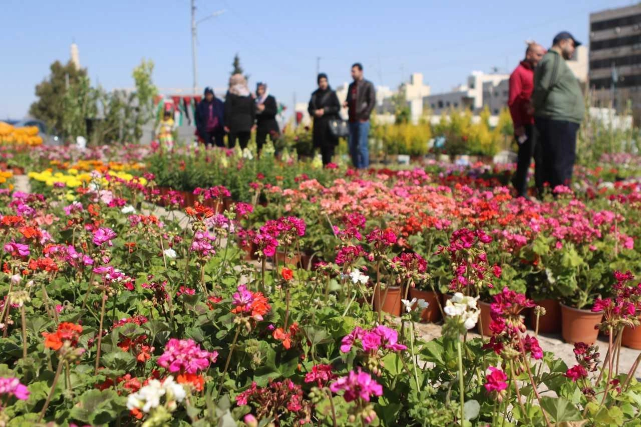 أجواء دافئة الخميس