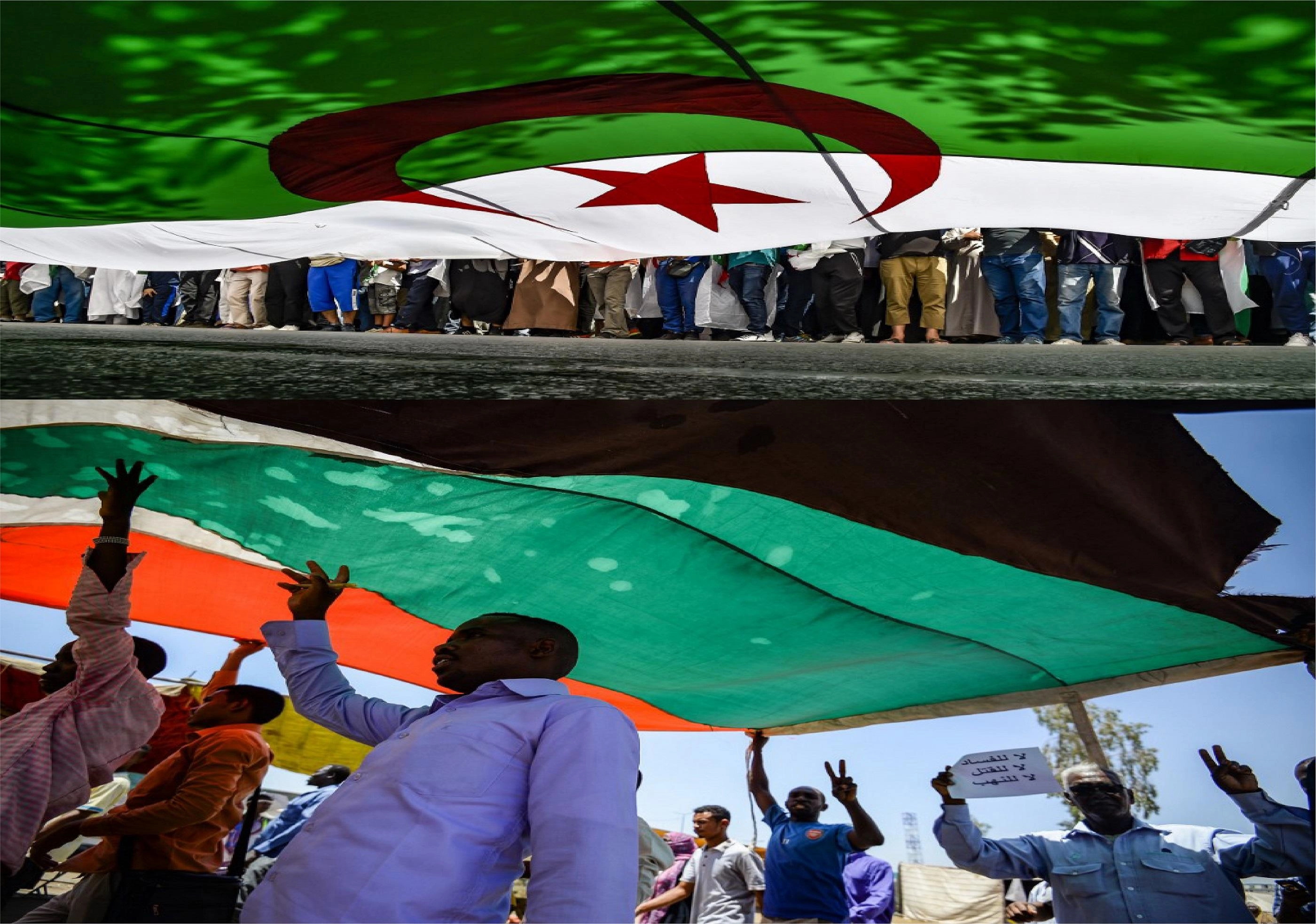 ثورتان عربيتان متعثرتان في الجزائر والسودان