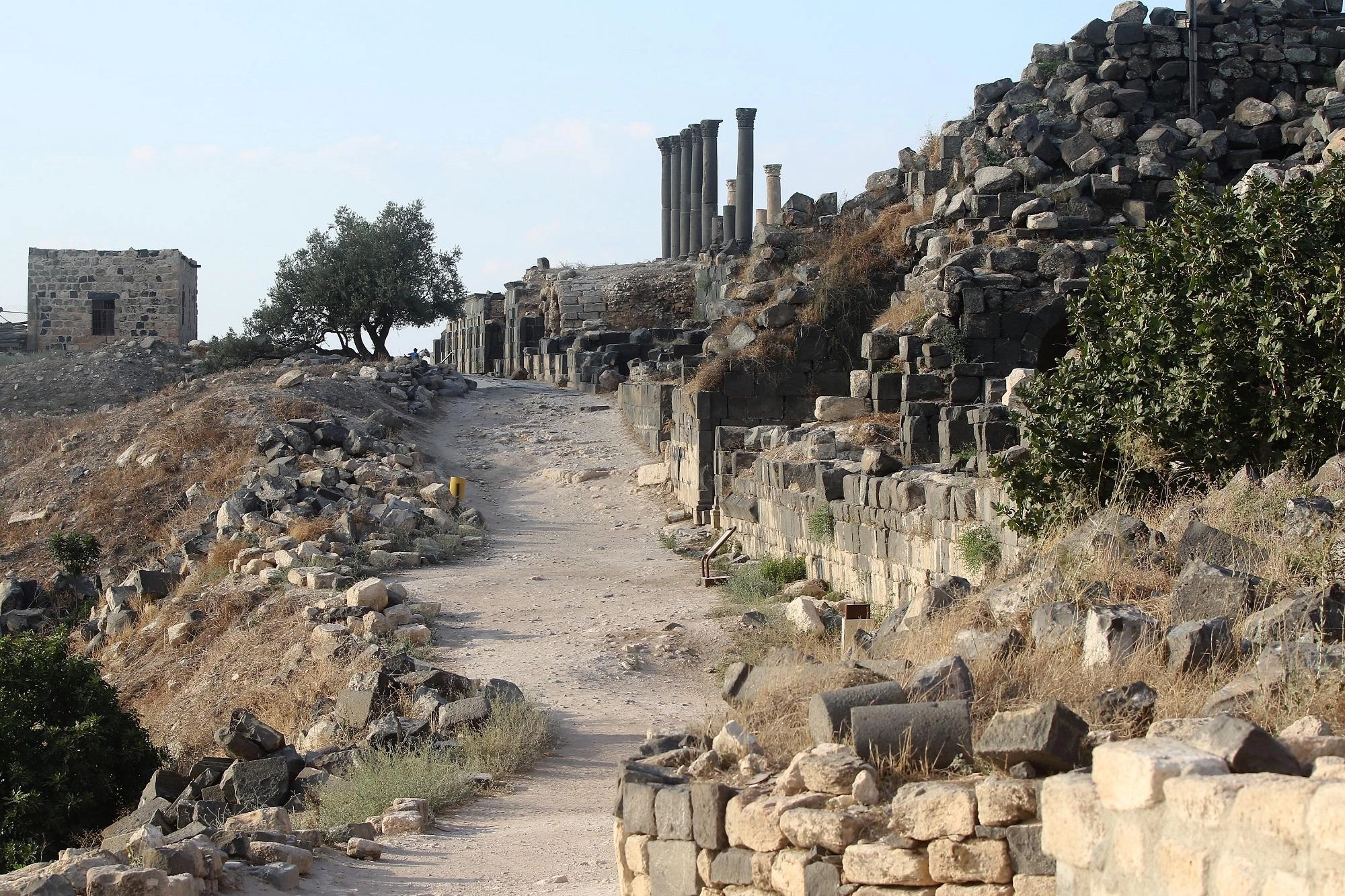 %6.1 ارتفاع الدخل السياحي