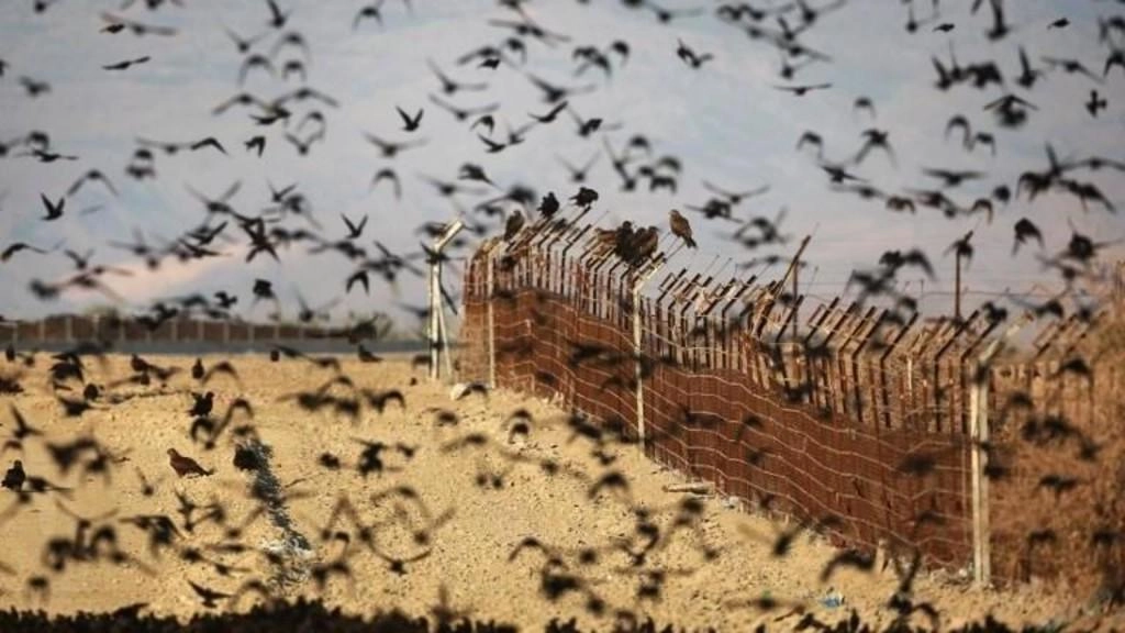 الأردن يرفض إدخال فلسطيني حاولت إسرائيل إبعاده