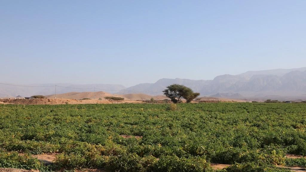 مطالبات بفصل شركة تطوير وادي عربة عن سلطة وادي الأردن