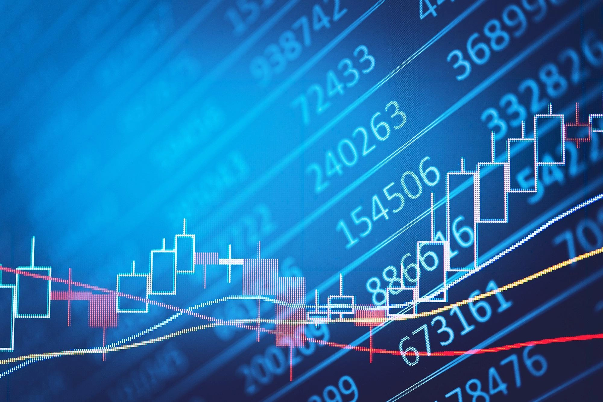 180 مليون دولار استثمار أجنبي في 50 شركة ناشئة