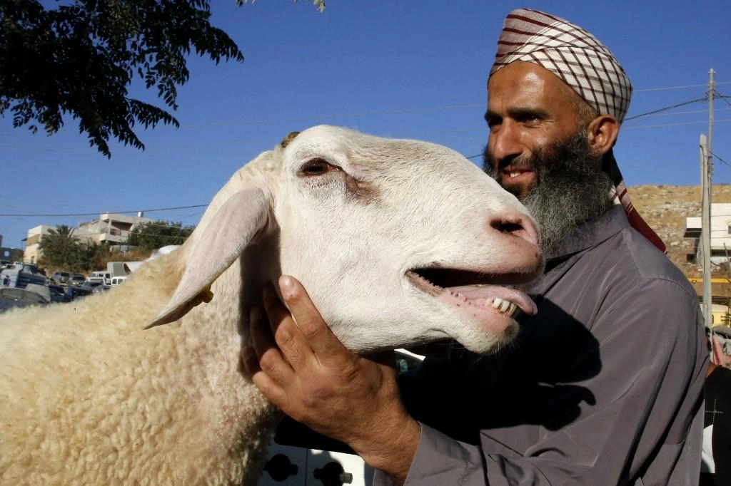 الأزمة المالية تؤثر على شراء أضاحي العيد