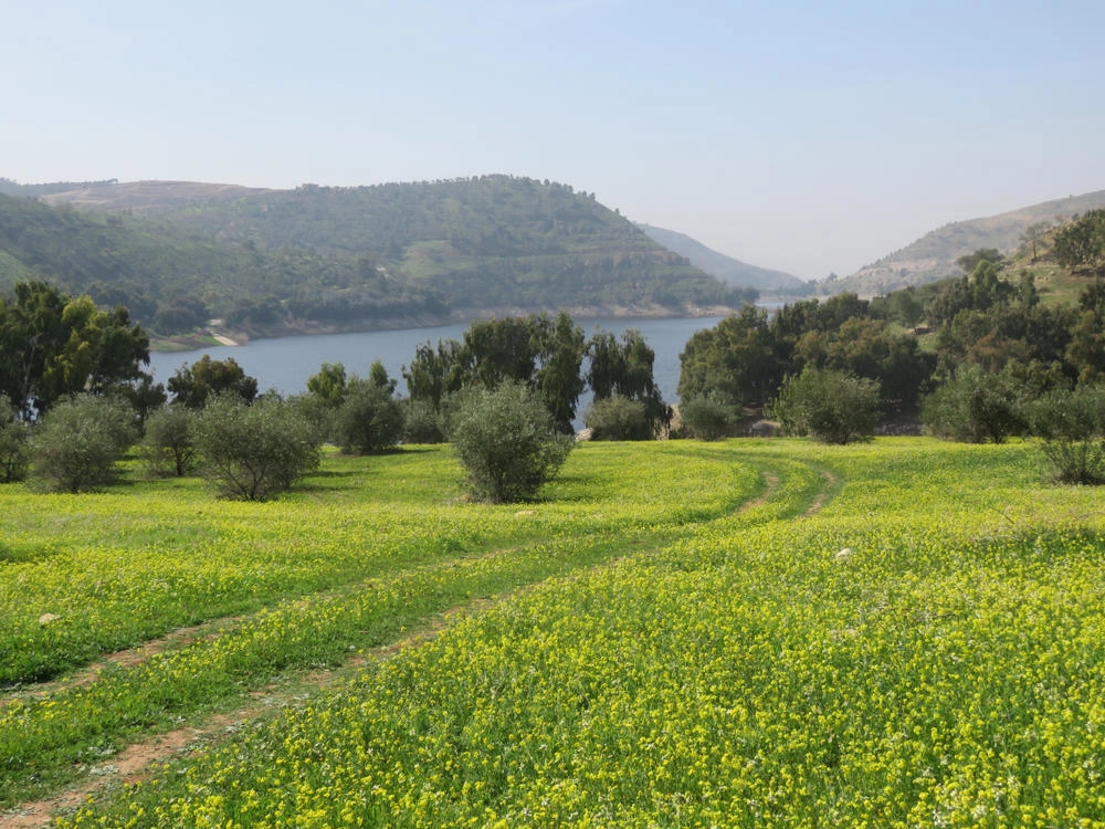 انخفاض درجات الحرارة 