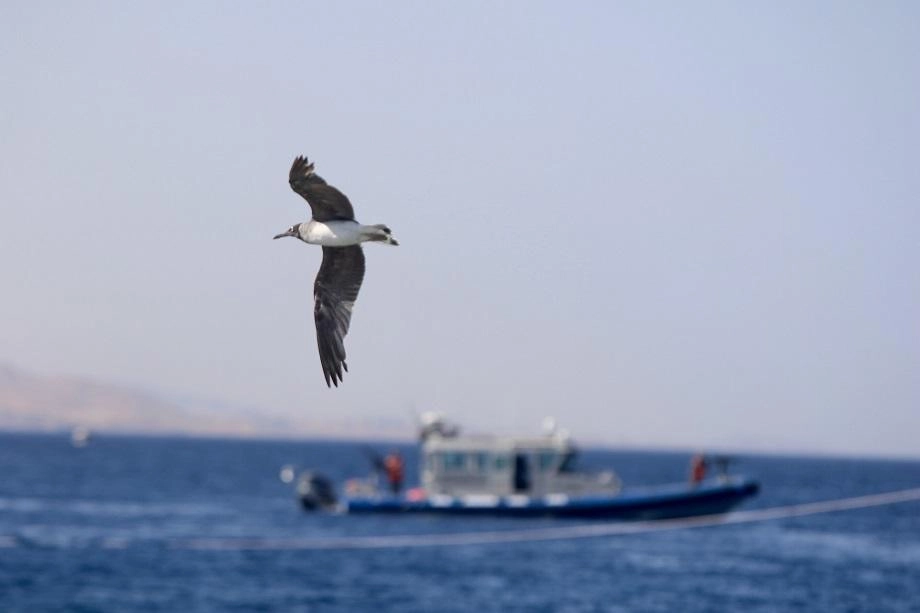 أجواء معتدلة حتى الأربعاء