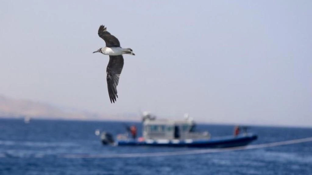 أجواء خريفية وارتفاع درجات الحرارة