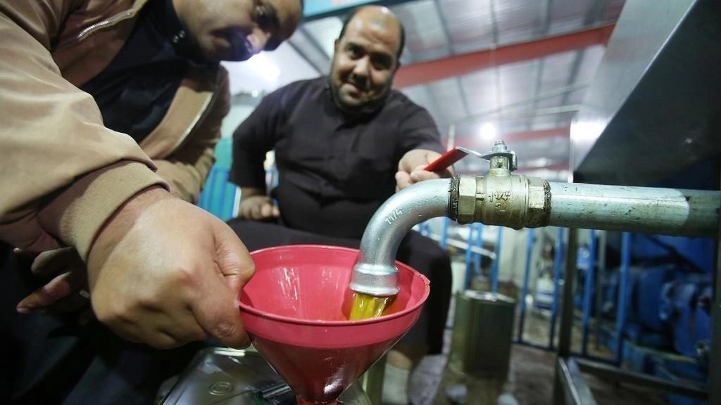 إنتاج "استثنائي" لزيت الزيتون الموسم الحالي