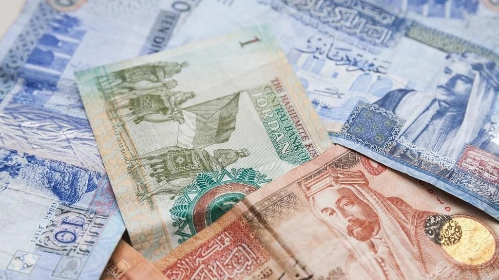 إتاحة صرف الرصيد الادخاري لمن بلغ سن الشيخوخة
