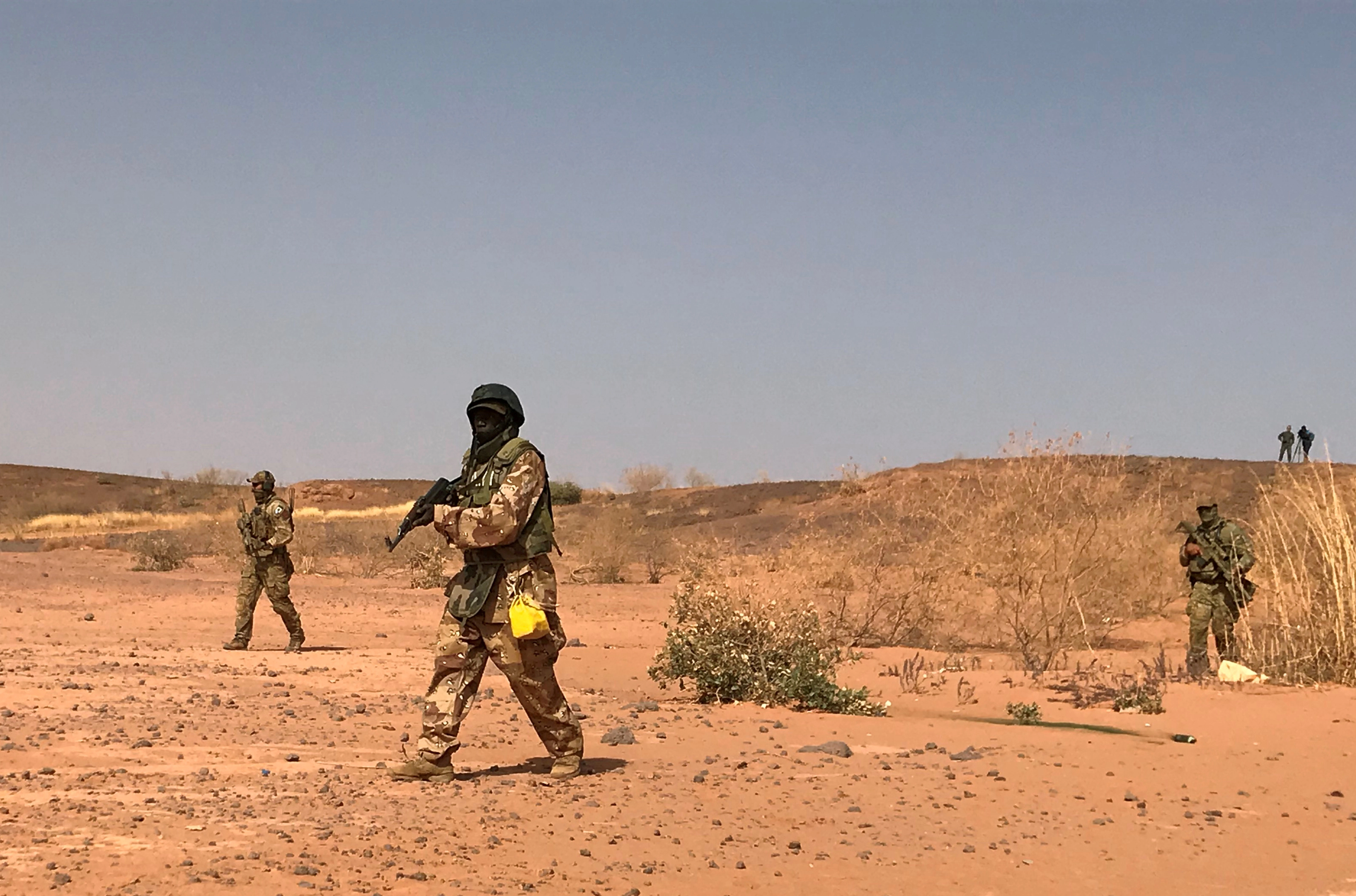 مقتل 14 جنديا في كمين غرب النيجر 
