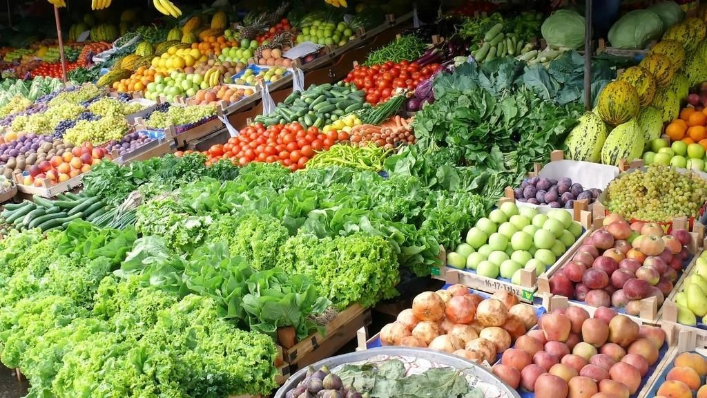 وزارة الزراعة: بداية مبشرة للموسم المطري رغم تأخره