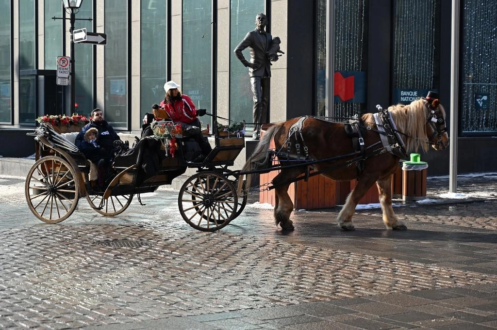 عربات الخيل تغيب قريباً عن المشهد في مونتريال