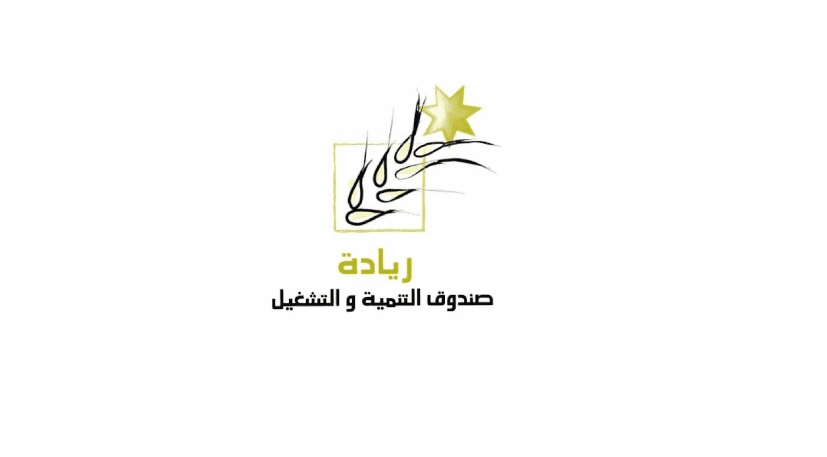 الملك يأمر بحل مشكلة قروض جماعية منحت في 2016 وبداية 2017