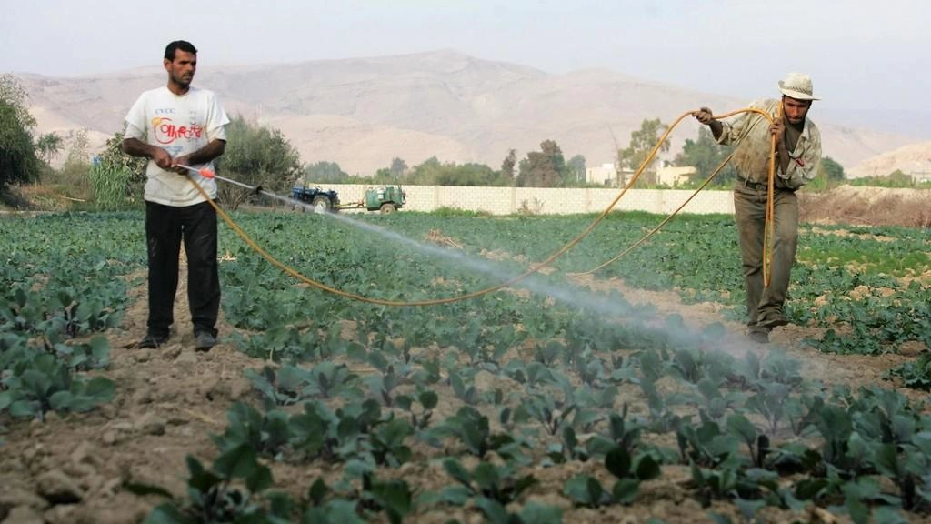 1.596 مليون تصريح عمل مسجل لدى وزارة العمل 