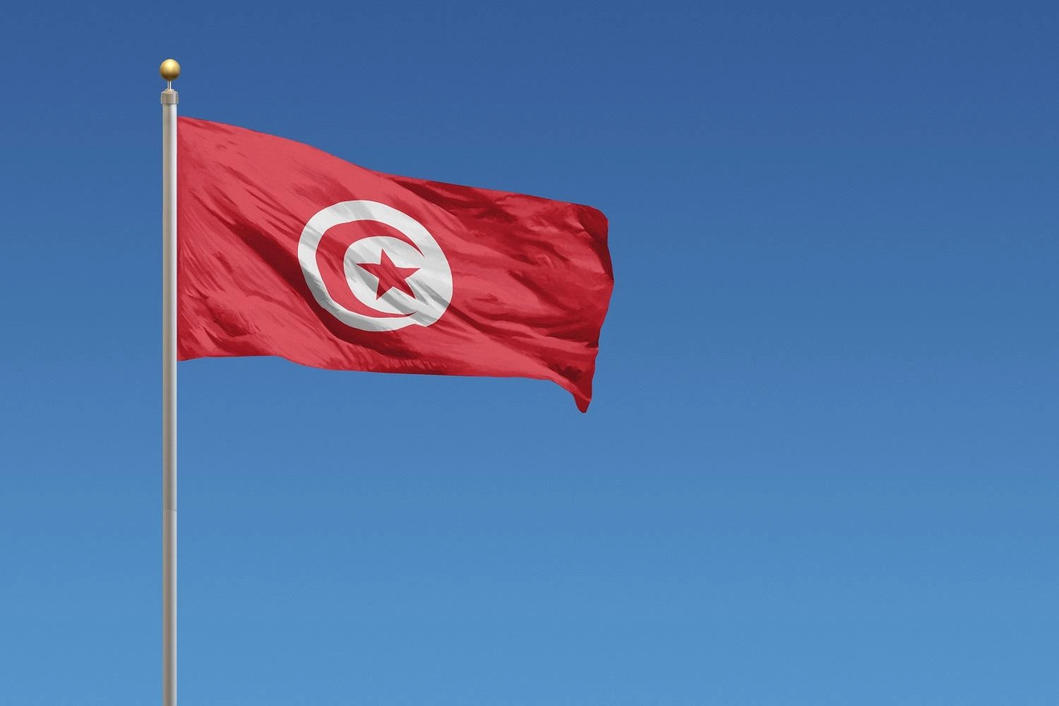 الرئيس سعيد يكلف إلياس الفخفاخ بتشكيل حكومة جديدة