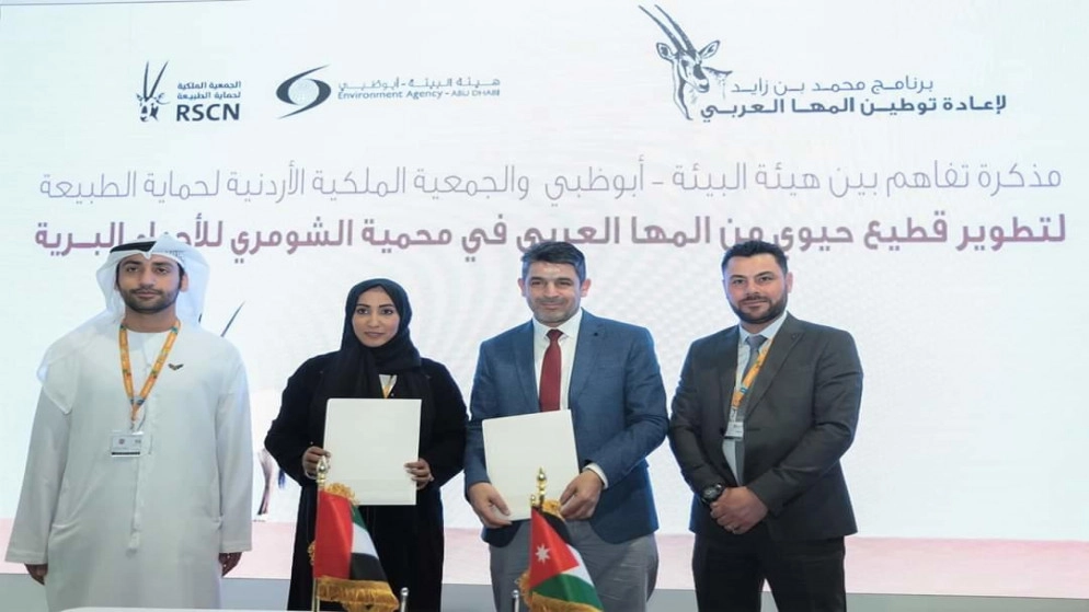 إطلاق 60 رأسا من المها العربي في محمية الشومري