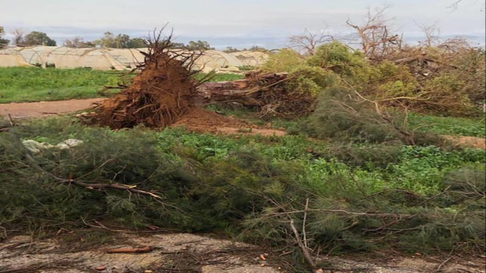 اجتماع لمجلس اتحاد المزارعين في وادي الأردن لبحث الأضرار