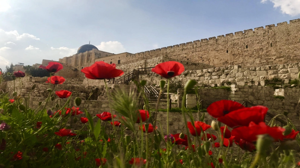 الخارجية الفلسطينية تطالب بوقف إجراءات إسرائيل ضد المقدسيين