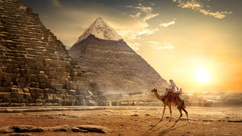 11 شركة عالمية ومحلية تفوز في مزايدة للتنقيب عن الذهب في مصر