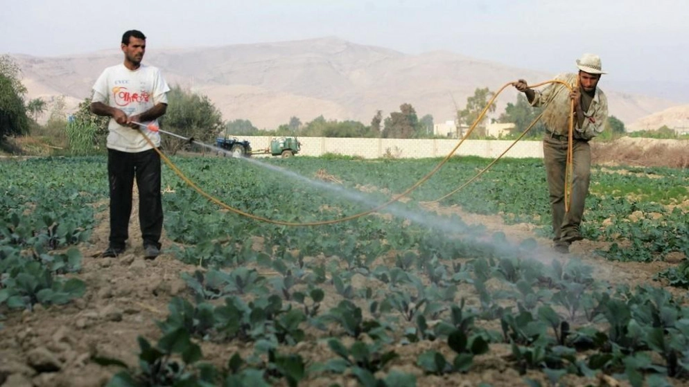 وزير العمل: محاسبة مستغلي تسهيلات القطاع الزراعي