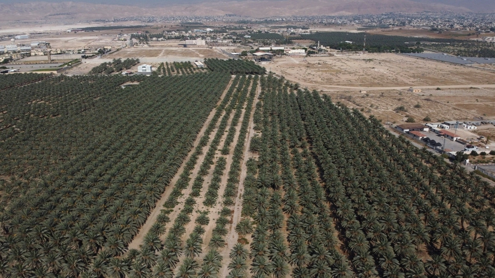 جائحة كوفيد-19 تفاقم المشاكل الاقتصادية للفلسطينيين