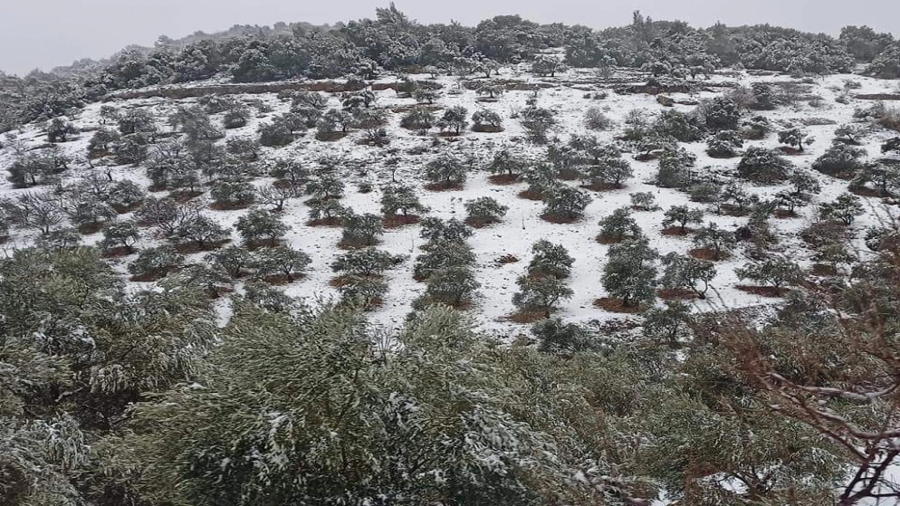 وزارة العمل: العاملون عن بعد يوم الخميس يخضعون للعمل الإضافي