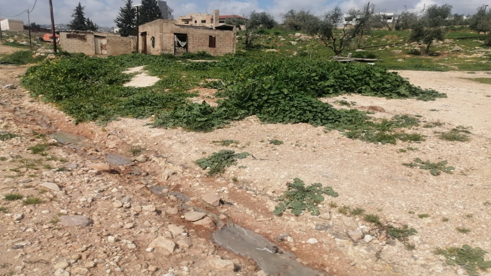 مطالبة بإيجاد حلول لانتشار روائح وتدفق مياه عادمة في حي باب عمّان