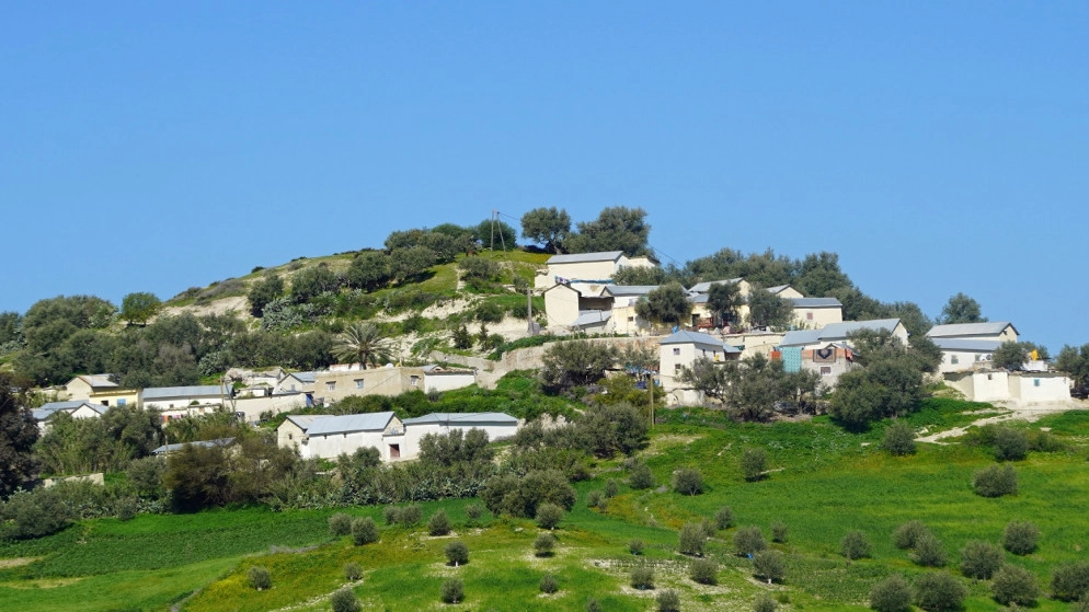7 وفيات و575 إصابة جديدة بالفيروس في المغرب