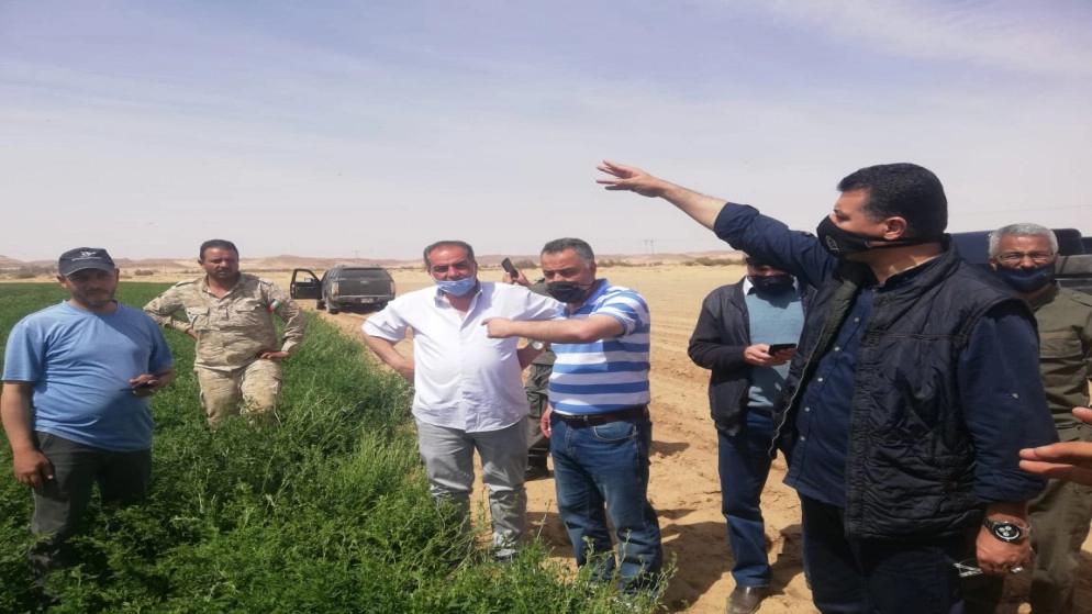 وزير الزراعة يعلن السيطرة على نسبة "عالية" من الجراد 