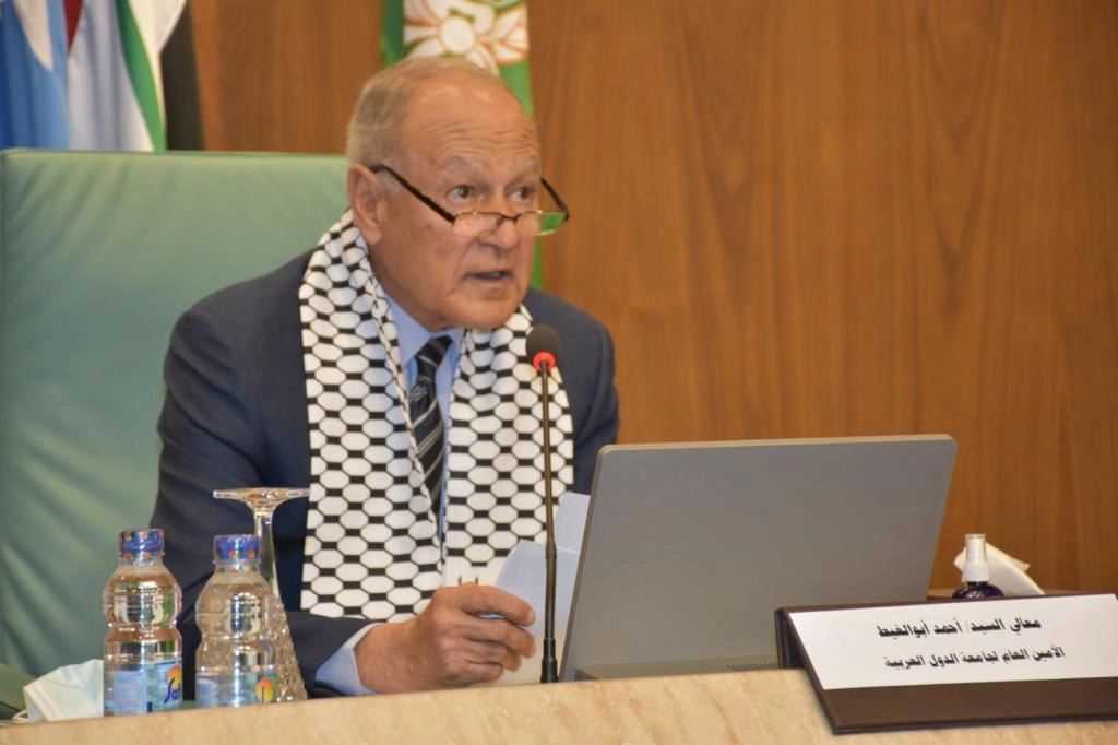 أبوالغيط: واجبنا إيصال الصوت الفلسطيني إلى العالم في هذه اللحظة الدقيقة
