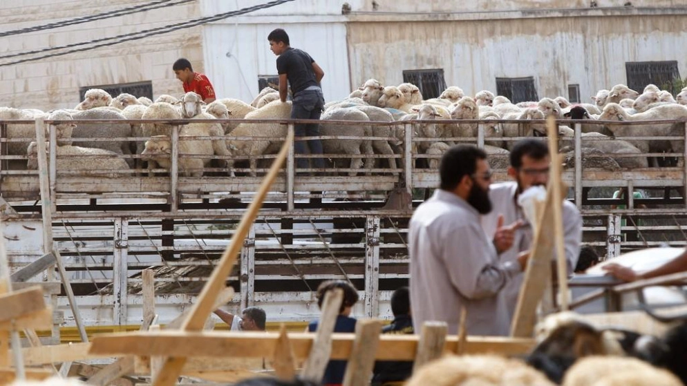بلدية الرصيفة تحدد أماكن ذبح الأضاحي
