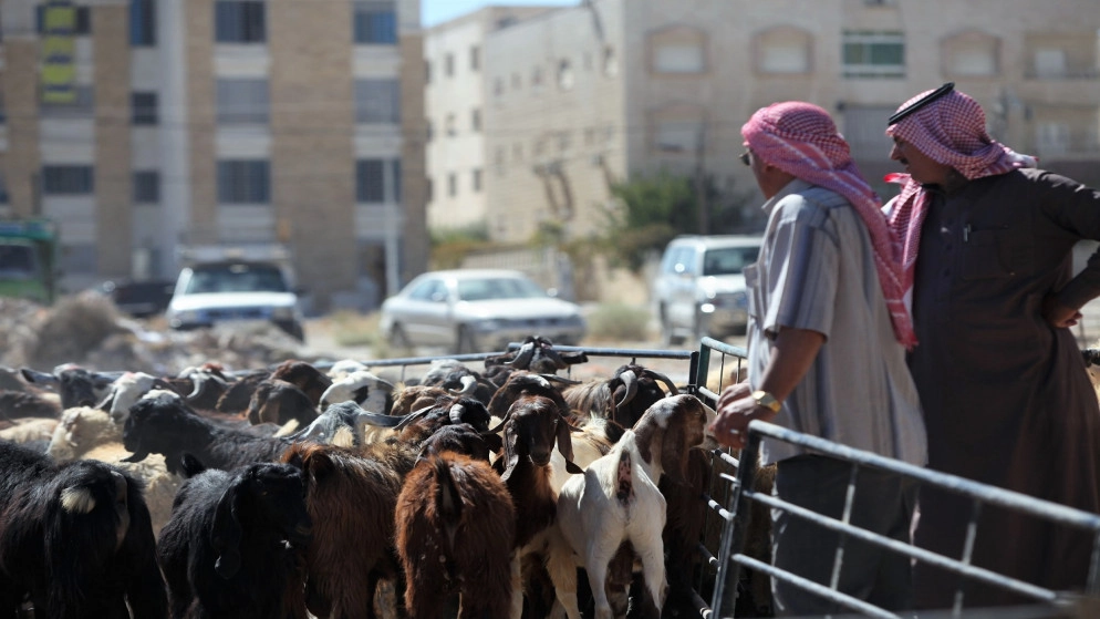 خطة رقابية لعيد الأضحى وجولات تفتيشية على مدار الساعة