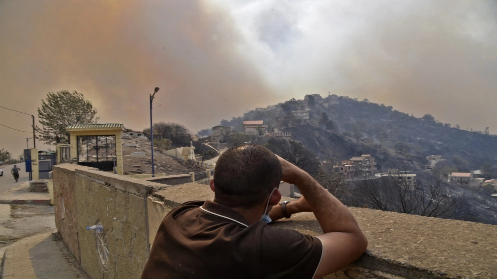 وفاة 65 شخصا بسبب حرائق الغابات في الجزائر