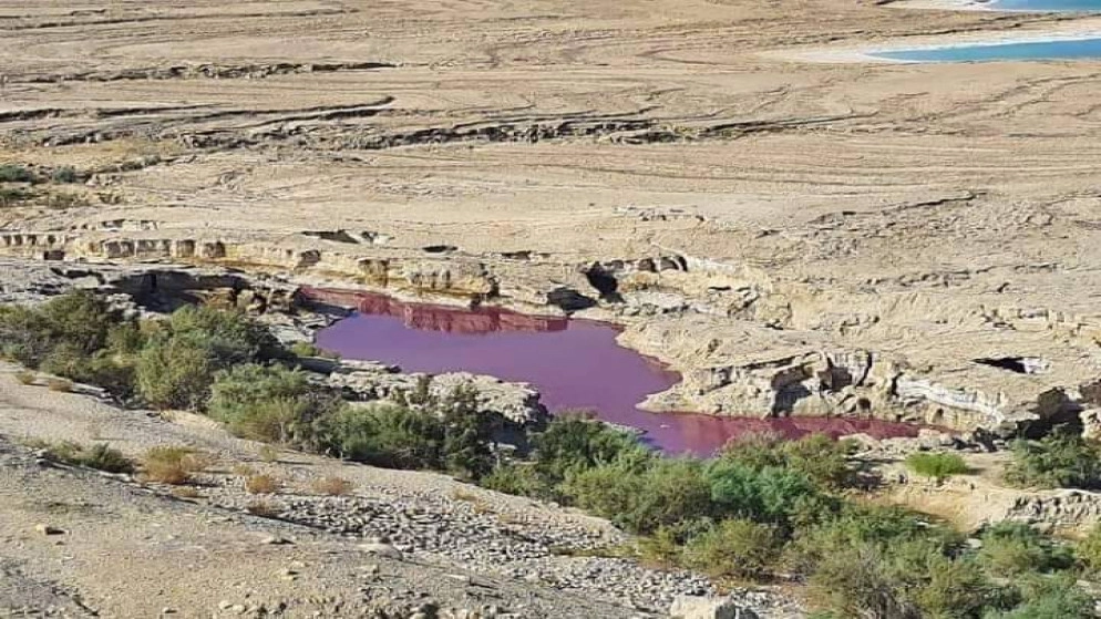 وزارة المياه تفحص "مياها حمراء" ظهرت ببركة محاذية للبحر الميت